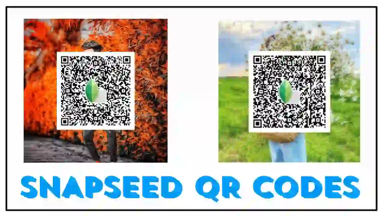 Snapseed QR Code